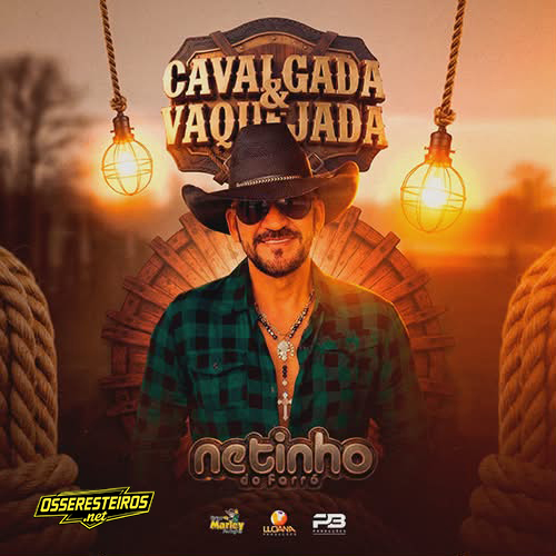 NETINHO DO FORRÓ CD NOVO 2026